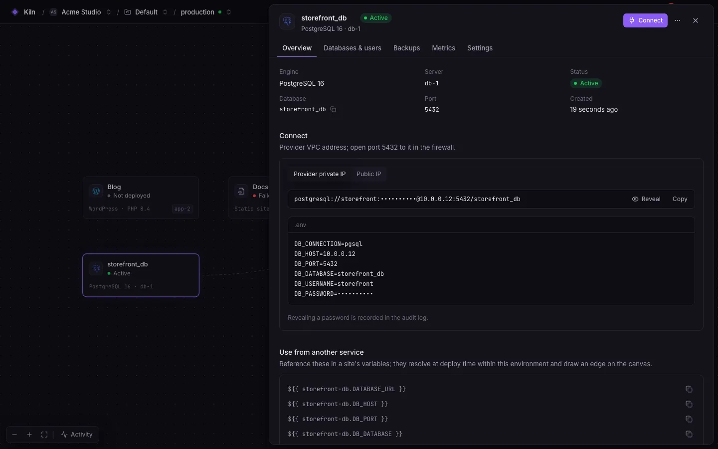The database service panel, Overview tab: engine and server, connection details with reveal, and the private-network address.